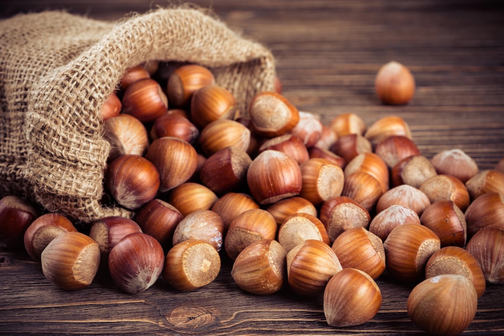 Nocciole del Piemonte versate da un sacco di juta