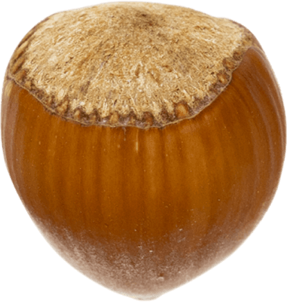 Nocciola del Piemonte